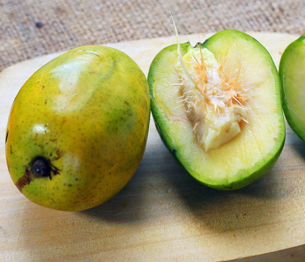 June Plum