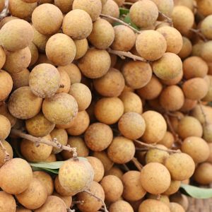 Longan - Image 2